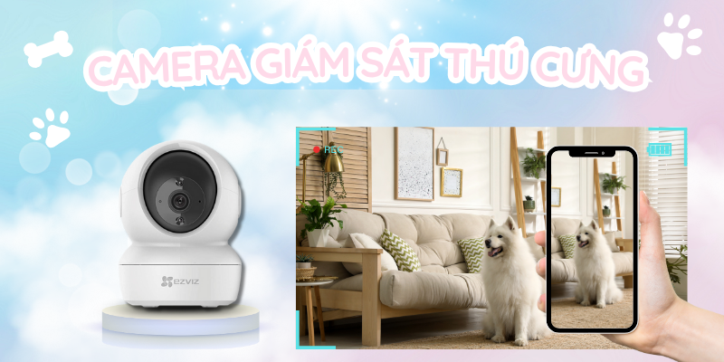 Camera Giám Sát Thú Cưng – Cách Theo Dõi Chó Mèo Từ Xa