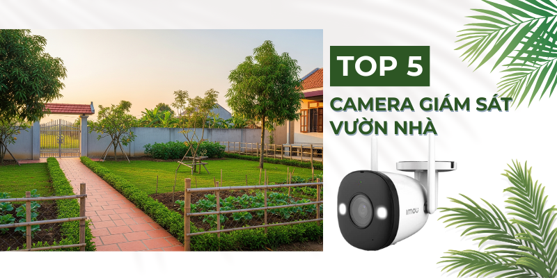 Top 5 Camera Giám Sát Vườn Nhà: Chống Trộm Hiệu Quả